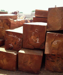 Doussie Wood Logs