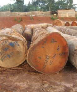 Bubinga Wood Logs