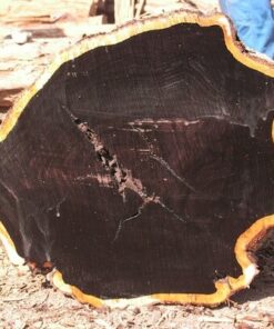 Ebony ( Black Ebony ) Wood Logs