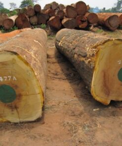 Iroko Wood Logs