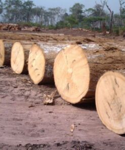 Makore Wood Logs