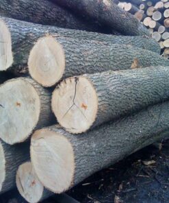 Ash Wood Logs
