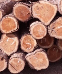 Cherry Wood Logs